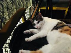 -蜉蝣酒吧(仓山万达店)