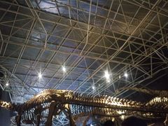 -世界恐龙谷景区