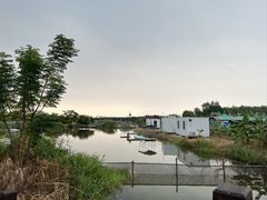 -大湾区中央湿地公园