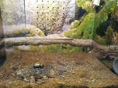 android_upload_pic-上海大自然野生昆虫馆