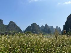 -钟山水墨田园