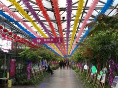 -南宫五洲植物乐园