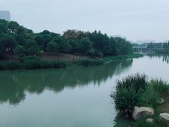 -尚贤河湿地