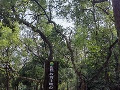 -金山植物公园