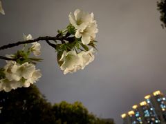 -太二酸菜鱼(菱角湖万达店)