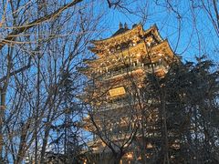 -济南大明湖景区