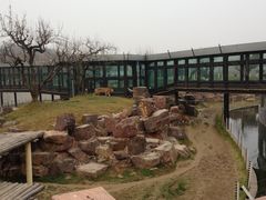 -宿豫区运河湾森林动物园