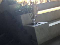 -小仙女采耳·按摩·SPA(深圳旗舰店)