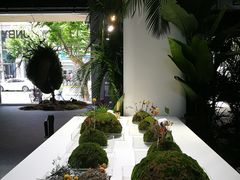 -精绝七日-新疆尼雅遗址数字大展【拉法耶文化艺术中心】