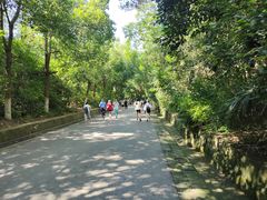-大蜀山国家森林公园