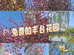 -丰台花园