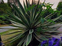 -东莞植物园