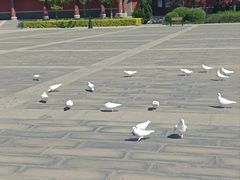 -天津妈祖文化园