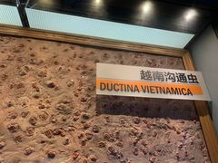 -湖南省地质博物馆