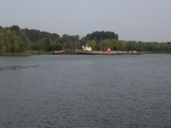 景点-东郊湿地公园