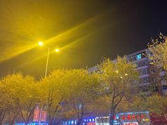 -协顺园回头馆(南顺城路店)