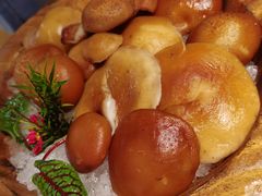 -季季山·云南野生菌火锅(上海首店)