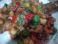 -煲来饱去冷水鱼