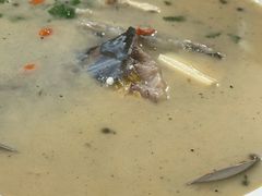 -煲来饱去冷水鱼