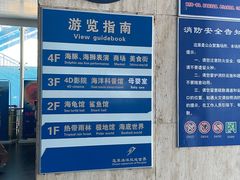 -蓬莱欧乐堡海洋极地世界