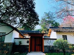 -杭州植物园