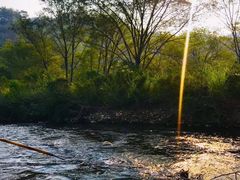 -九曲溪竹筏码头