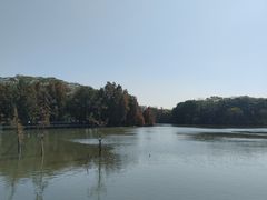 -海珠湖公园