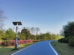 -宜兴龙背山森林公园