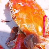 今天我是海鲜控！不限时不限量！团购实惠
