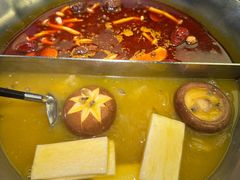 珍鲜菌菇鸳鸯锅-湊湊火锅·茶憩(南京万象天地店)