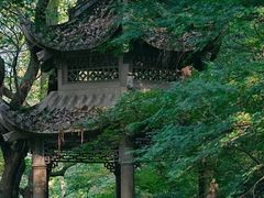 -杭州植物园