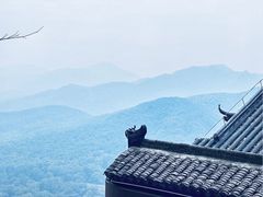 -灵隐飞来峰景区