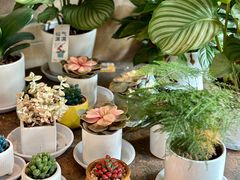 -火塘云南烧烤大排档