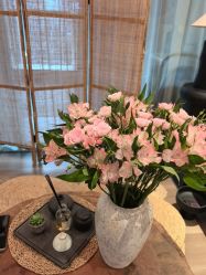 点击看大图 -花隐瑜伽·普拉提·红绳