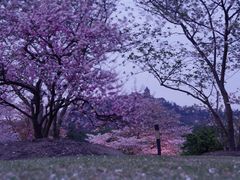 -上海辰山植物园