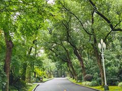 -浙江西子宾馆·瑶园咖啡厅