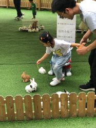 -萌宠亲子动物乐园(槐房万达店)