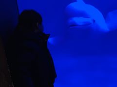 -大连圣亚海洋世界