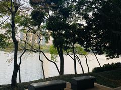 -南宁南湖公园