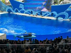-上海海昌海洋公园