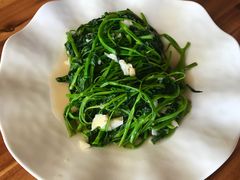 -Draft Beer Restaurant & Bar