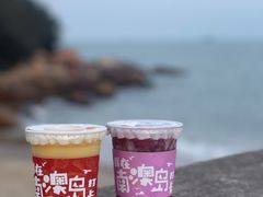 -南澳岛打卡果汁冰公司