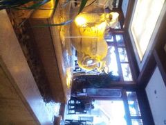 android_upload_pic-三亚亚龙湾雅高美爵酒店