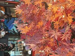 -鱼跃料理(步步高店)