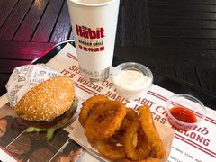 洋葱圈-The Habit Burger Grill 哈比特汉堡(爱琴海店)