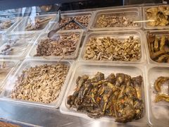 -老号尤兔头(幸福店)