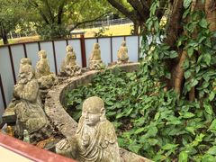 -三水森林公园