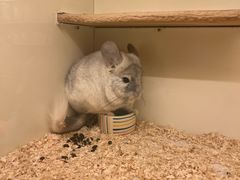 -龙猫仔乐园(惠福东路店)