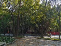 -晓港公园