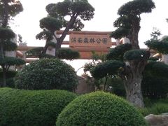 android_upload_pic-济南森林公园